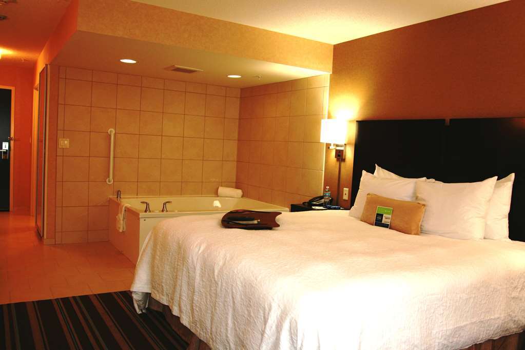 Hampton Inn And Suites Flint/Grand Blanc Bilik gambar